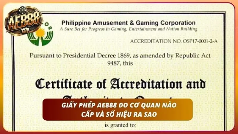 Thông tin cấp phép được hiển thị rõ ràng ngay trên trang chủ
